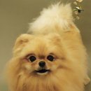 서동농장 이미지