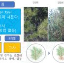 소나무병원 이미지