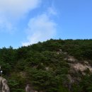 거창 항노화 힐링랜드 이미지