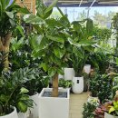 돌미상업로 이미지