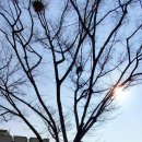 수원시 팔달구 향교로 93 이미지