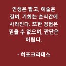 인생은 짧고 예술은 길다는 히포크라테스의 명언 이미지