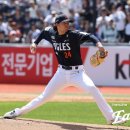 화이트엔