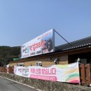 신바람난찐빵집손만두 네이버블로그