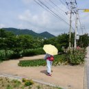 벌교보건지소 이미지