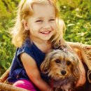 라카이샌드파인 이미지