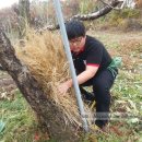 귀덕농장 이미지