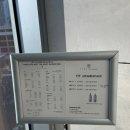 더뷰티헤어 | [성수동 미용실] 시드더뷰티 서린 디자이너 c컬펌 헤어컨설팅 후기