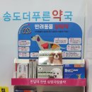 더푸른약국 이미지