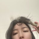 2024년 12월 둘째 주