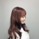 헤어리치 이미지