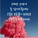 할렐루야기름집 이미지