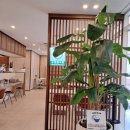 메콩강 PHO 이미지