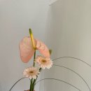 로즈앤모어