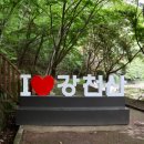 홍이관광주