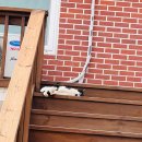 미꾸지 펜션 | 인천 강화도 조용한 뷰 맛집 카페 '미꾸지 카페' &amp; 깔끔한 '나무늘보 펜션'