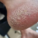 언주로7길 이미지