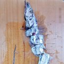 삼복수산 이미지