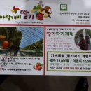 바람개비 딸기학교 이미지