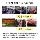 씨어 이미지