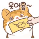 경인교육대학교 부설초 이미지