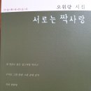 시적인 것에 대한 탐색과 자아들/ 성덕희, 오원량/ 사이펀/ 여름 17호 이미지