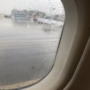 호미하우스 이미지