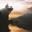 국민연금공단 동광주지사 이미지