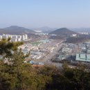 송학초교 이미지