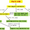 플로우이비인후과의원 이미지