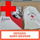 대한적십자사 경남지사 응급처치일반교과정 교육 후기, 신청방법