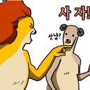 키즈부스 이미지