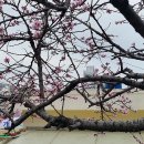 우룡산공원 이미지