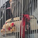 방도로 | [구매후기] CJ온스타일 × 나른 KBO 콜라보 "방도스카프 헤리티지 에디션 기아타이거즈"