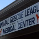 캐나다동물병원 이미지