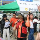 서촌초교 이미지