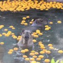 투하트호텔 이미지