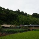 사단법인 영호남수필문학협회 이미지