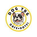 독특하개 이미지