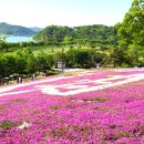 악양생태공원 이미지