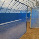 빈하우스 이미지