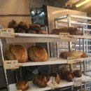 라비뛰드 이미지