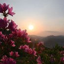 아영면 오산마을 이미지