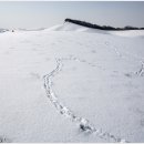 정원한우농장 이미지