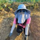 들가운데농장 이미지