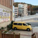 바니펫살롱 이미지