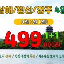 한솔여행사 이미지