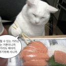 강변마트 이미지