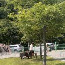 은하수운동장 | [양주 애견동반 캠핌장] 개별 울타리와 운동장이 있는 양주 은하수 캠핑장