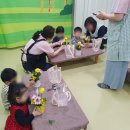 보미나어린이집 이미지